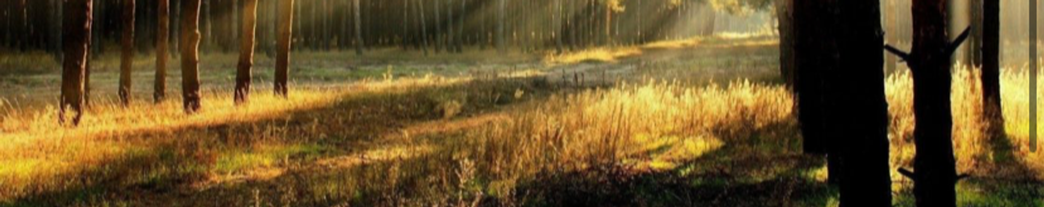 Cover photo for Glen Dixon Straker's Obituary
