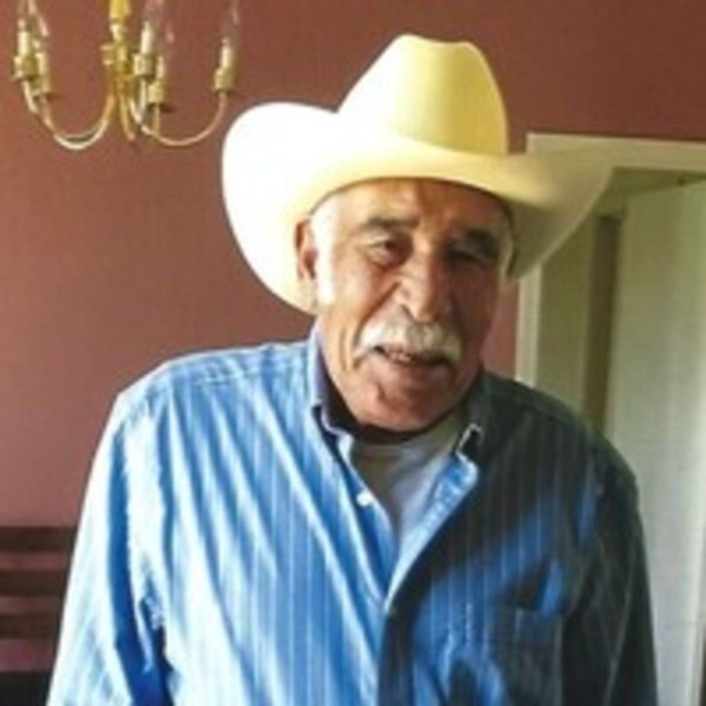 J Pilar Carrera Martinez