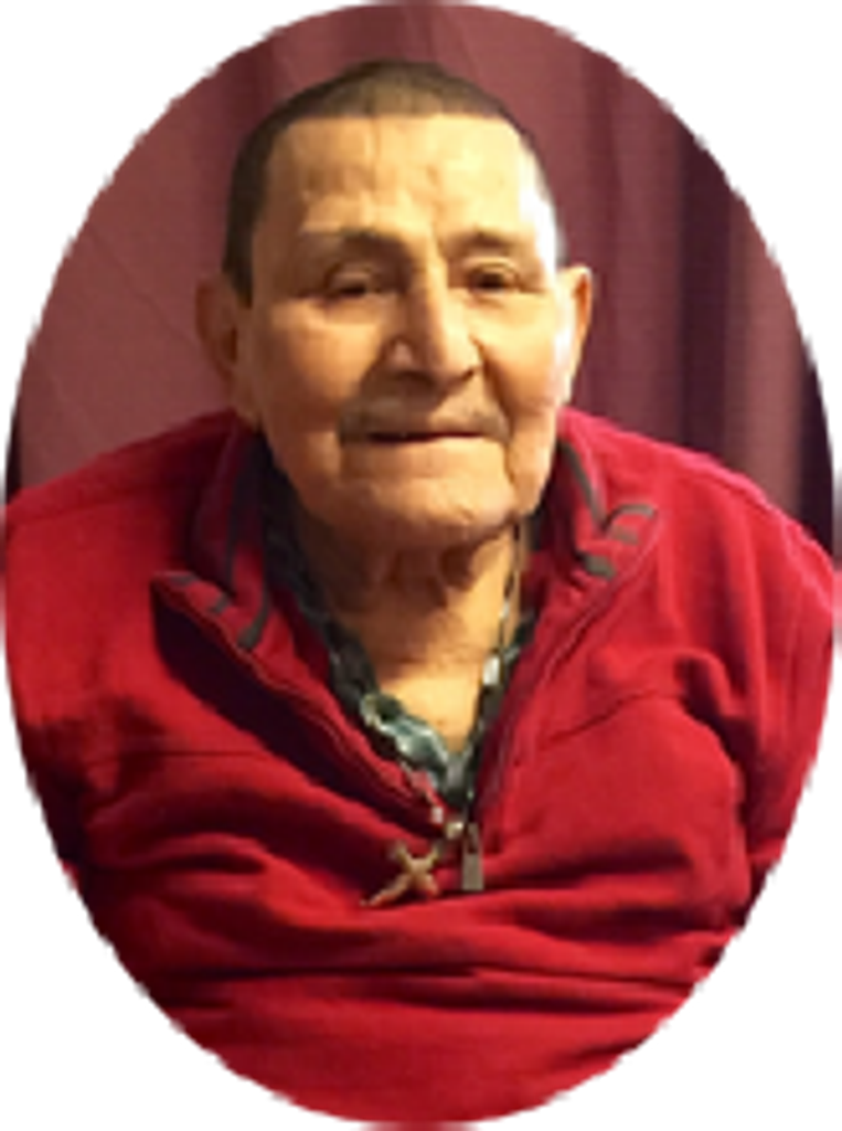 Luis Alonso Arita-Ramirez