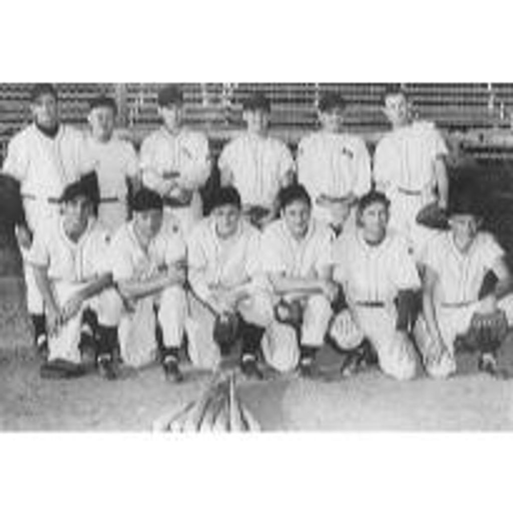 Peter Raymond Bingley