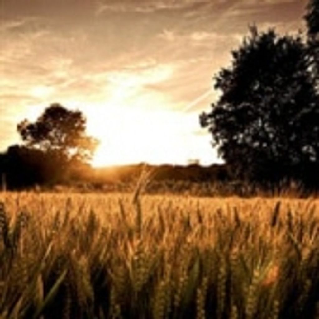 William Henry Moyers, Sr.