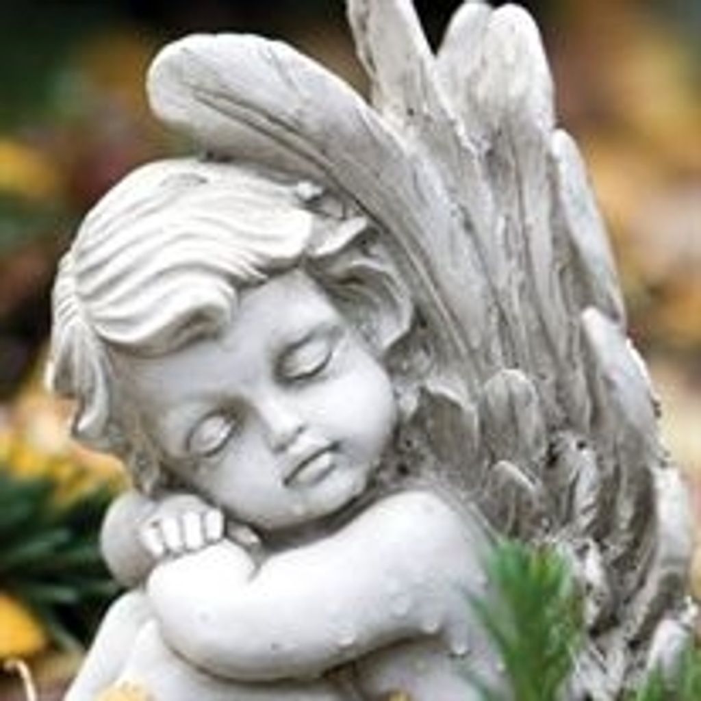 Adrienne Atkins Profile Photo