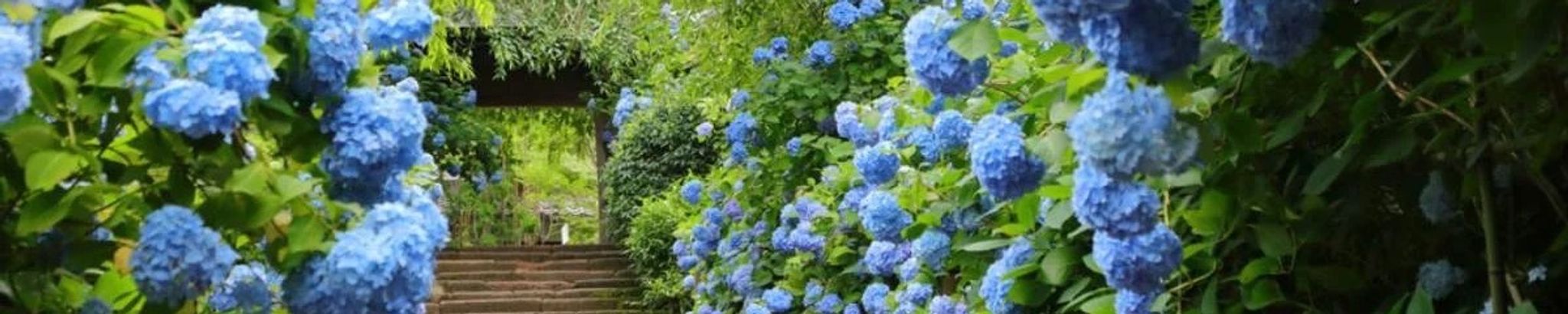 Cover photo for Constance M. Gelineau's Obituary