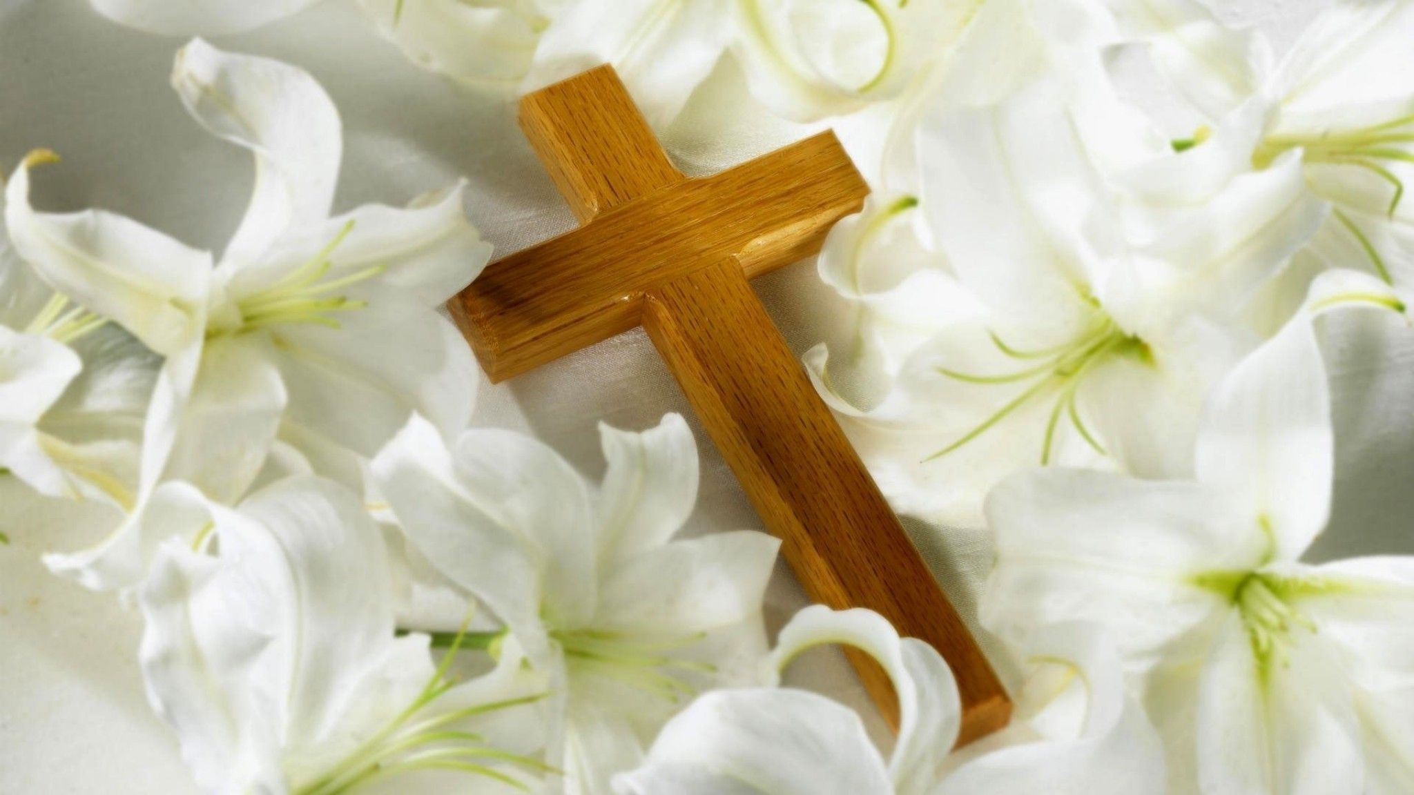 Cover photo for Helen Sapaugh's Obituary