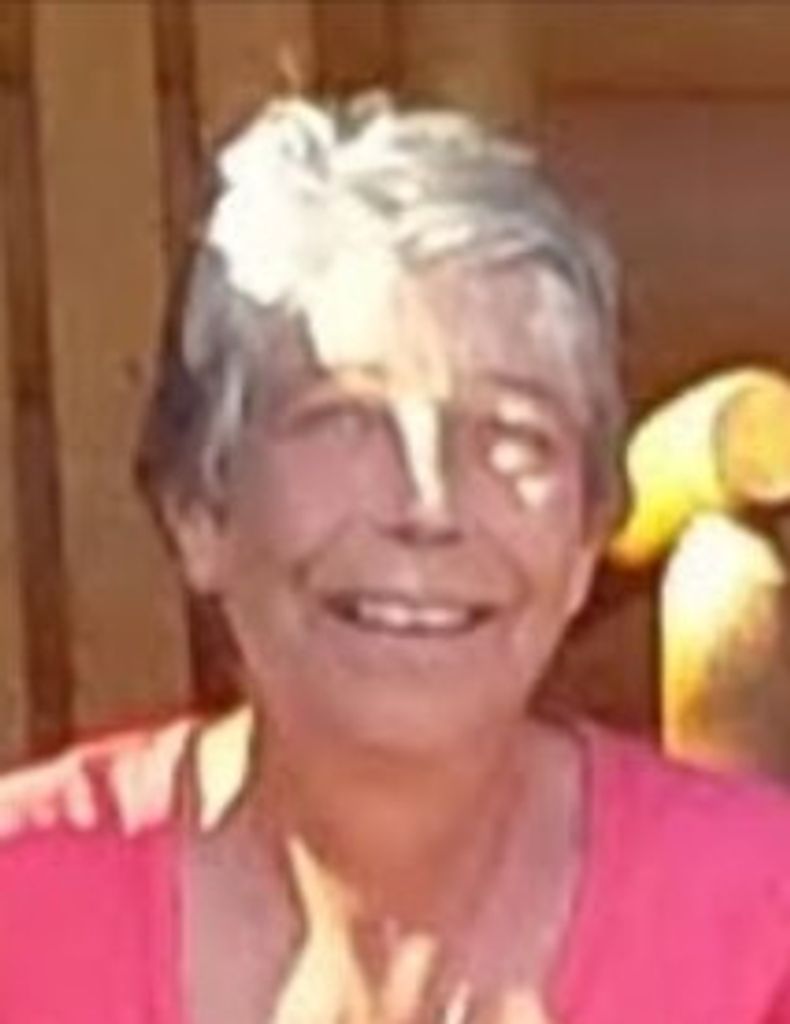 Lynda Diane (Wargo)  Hauler