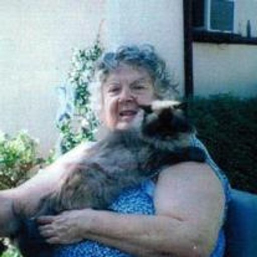 June Tickunov Tyler Profile Photo