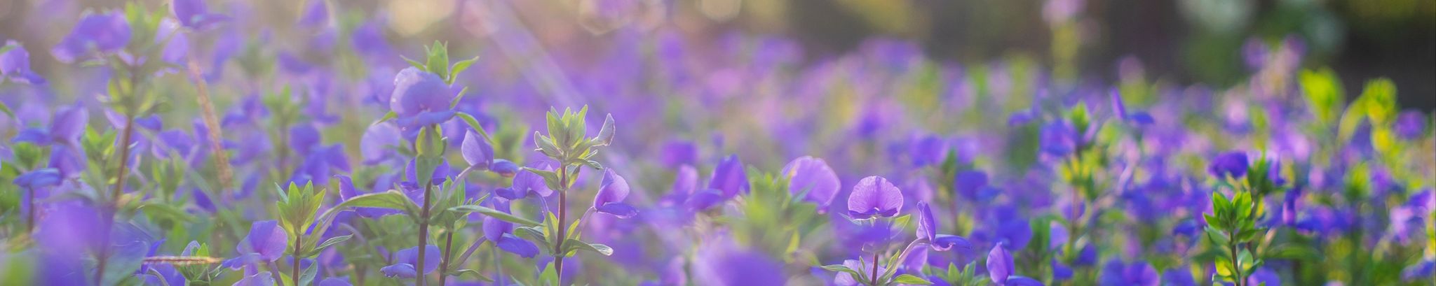 Cover photo for Myrna Kay Glause's Obituary