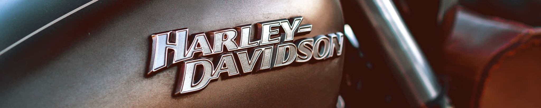 Cover for Michael Carline Wilson's Obituary