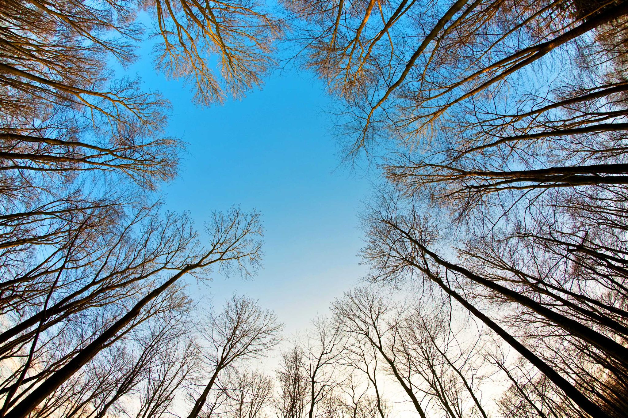 Cover for Ansel Simeon Kingsbury's Obituary