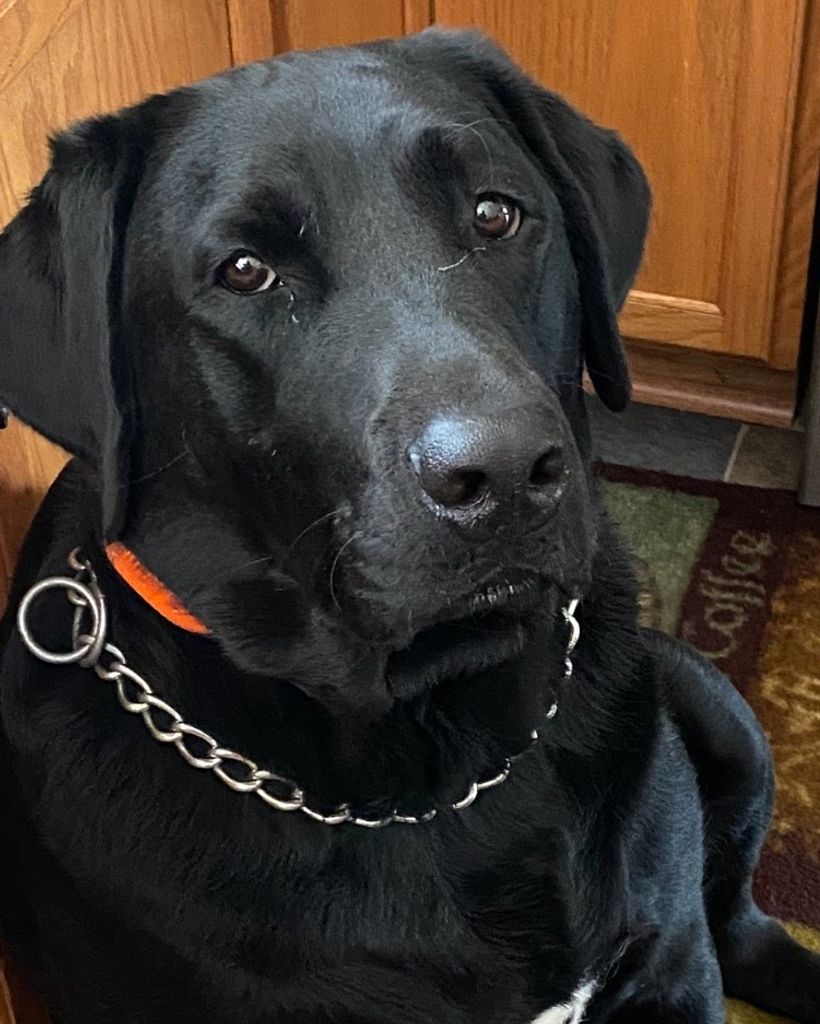 Duke Langsfeld
