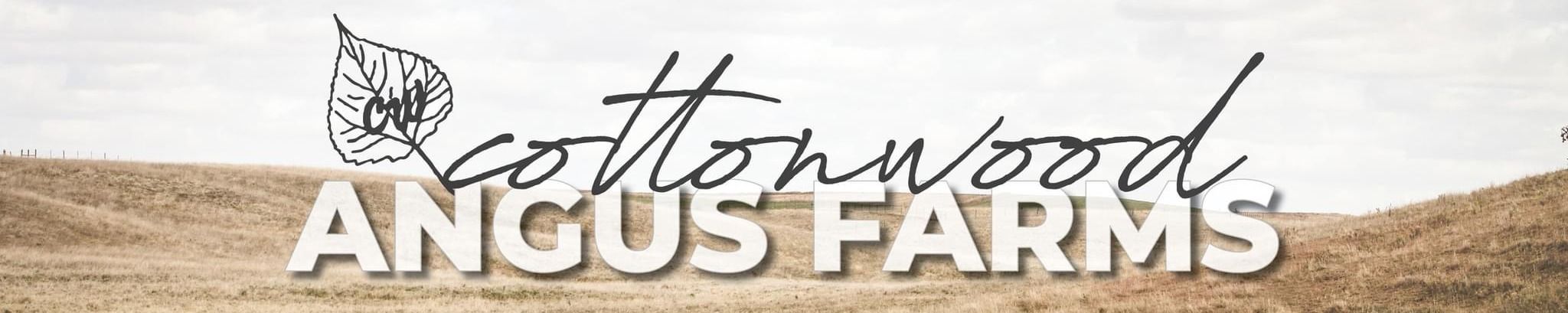 Cover photo for Gregg Butman's Obituary