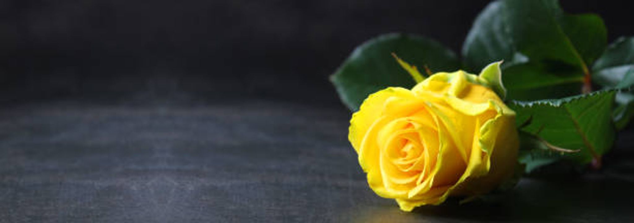 Cover photo for Thomas Grade's Obituary