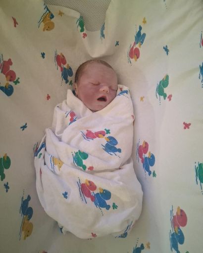 Levi Ethan Robert Jacobi's obituary image