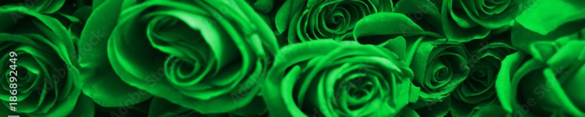 Cover for Etta Mae Ryan's Obituary