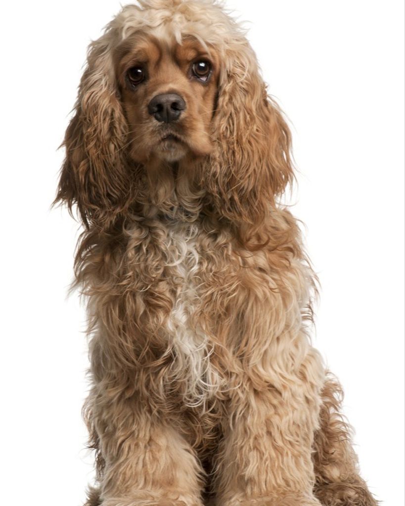 Trisha Luck Profile Photo