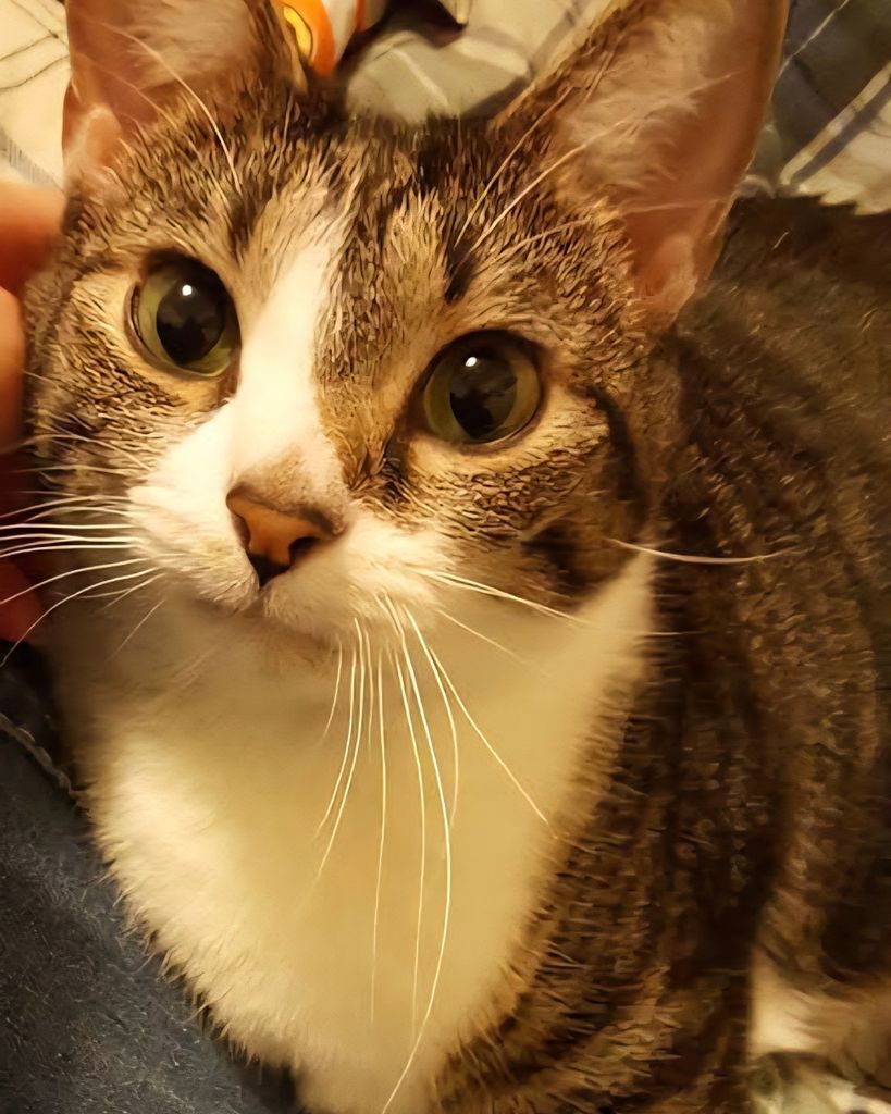 Annabell "Aunty" Evans Profile Photo