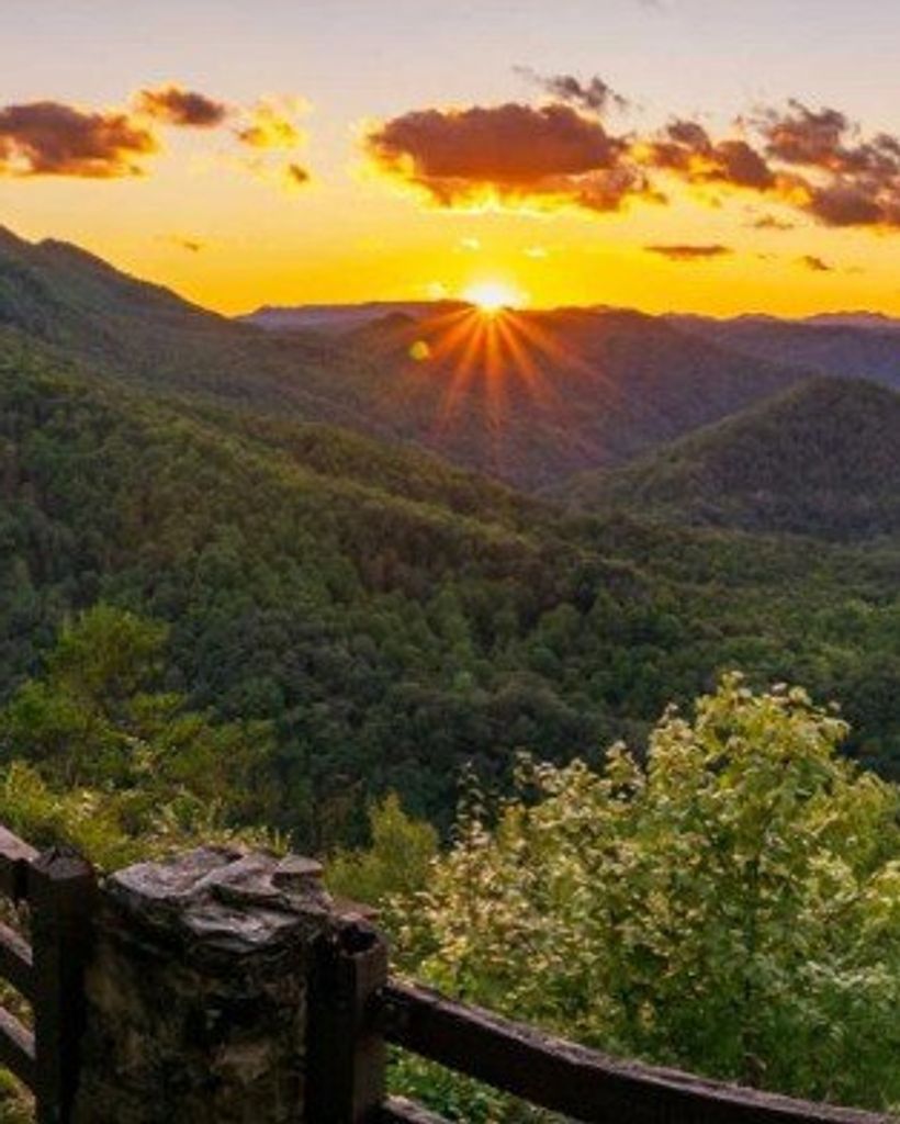 Randall Darnell Profile Photo