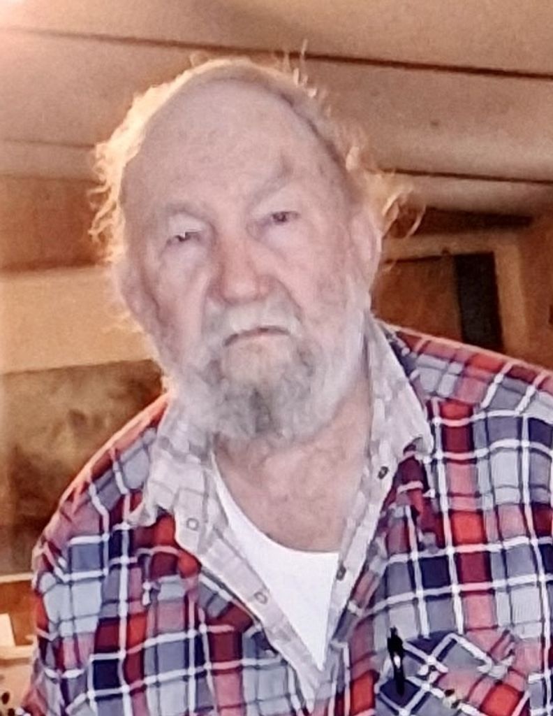 William 'Bill' Paul Watkins Age 82 Of Keystone Heights Profile Photo