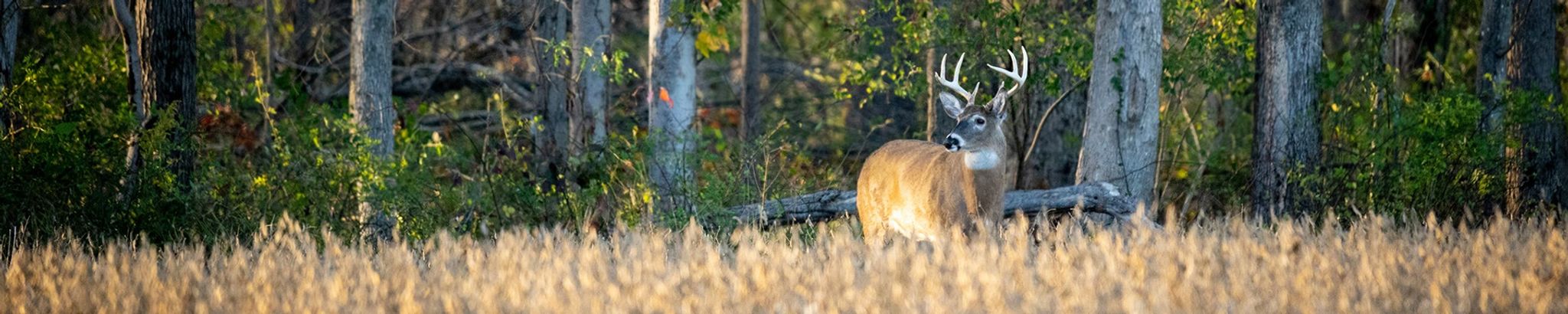 Cover for Ward Edward Hering's Obituary