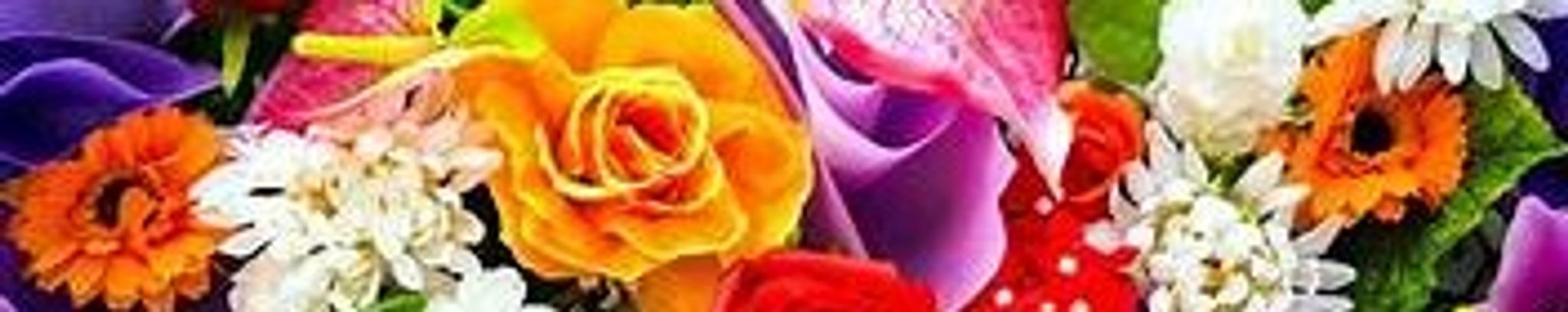 Cover photo for Sherrie Ellen Getson's Obituary