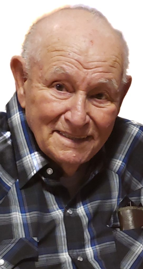 Ronald Merle Picolet Profile Photo