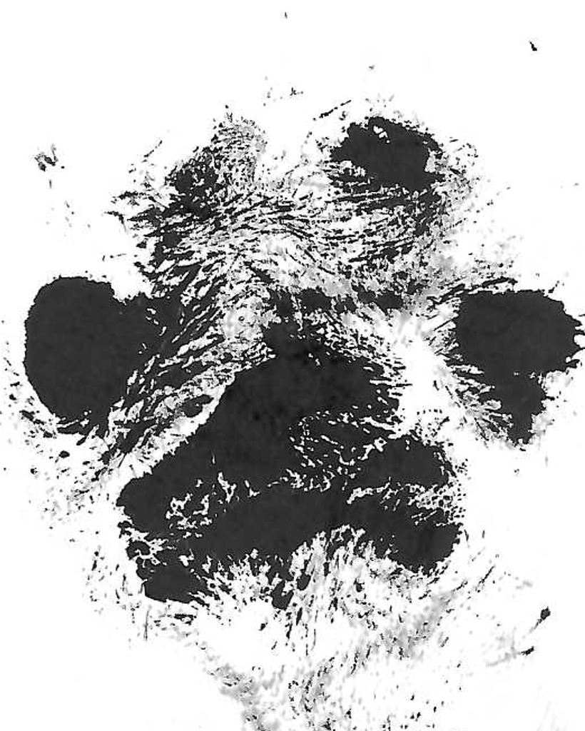 Lily Graves Profile Photo