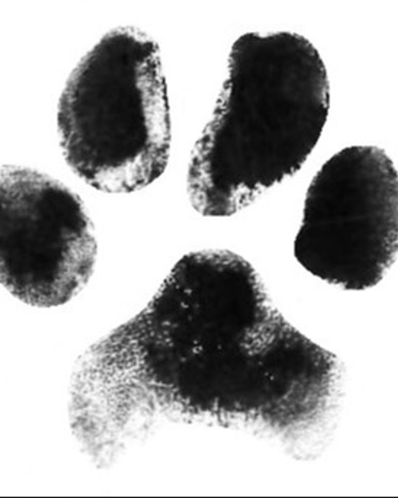 Lily Owens Profile Photo