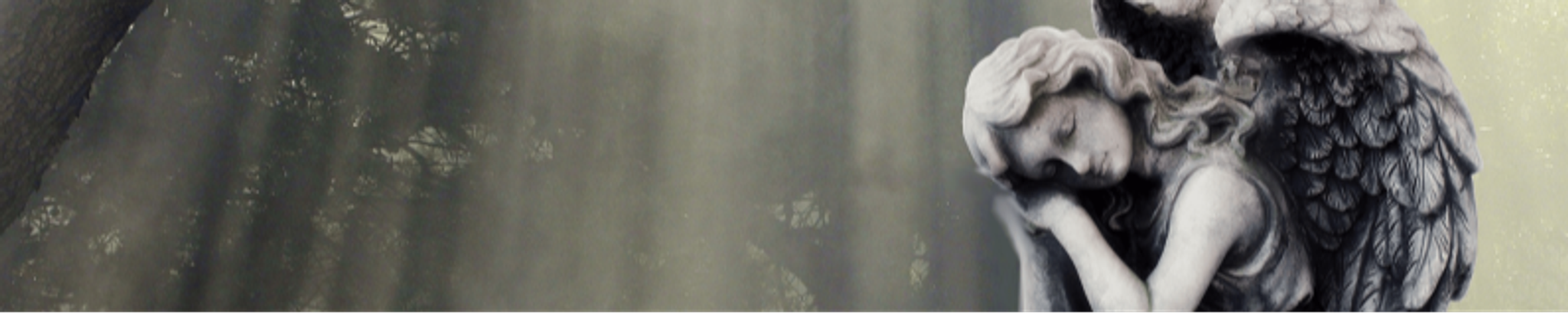 Cover photo for Paul J. Proost's Obituary