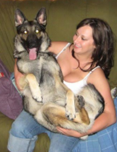 Amanda R. Dehaven Profile Photo