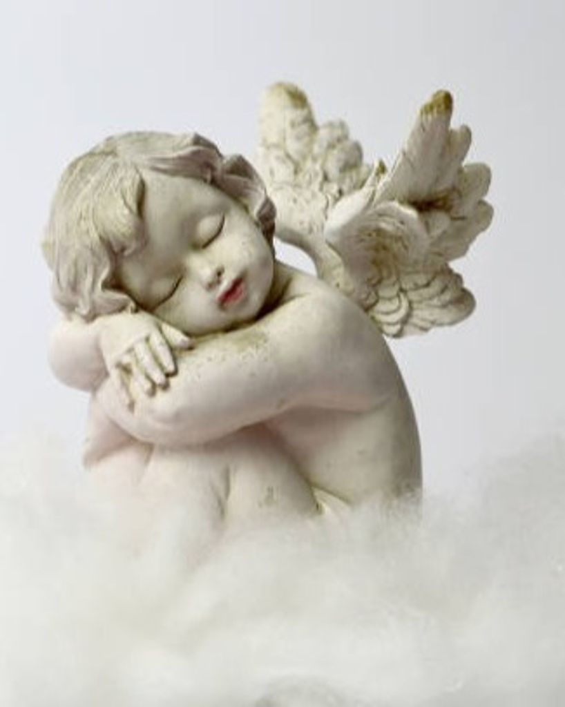 Angel Maksoud Profile Photo
