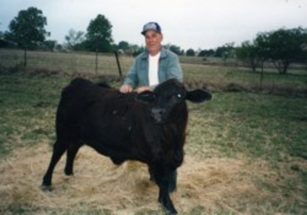 Harold Brown