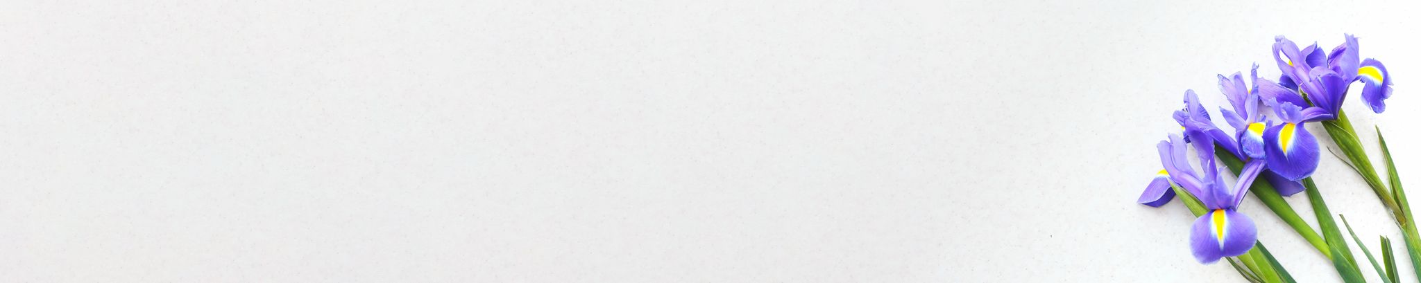 Cover photo for Donald P. Delmez's Obituary