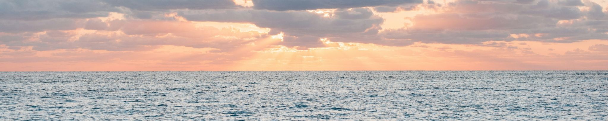 Cover for Connie Reynolds Bauer (nee Peacock)'s Obituary