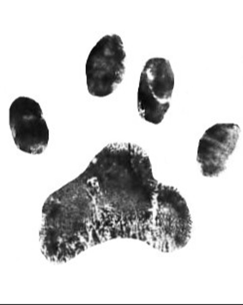 Murphy DePauw Profile Photo