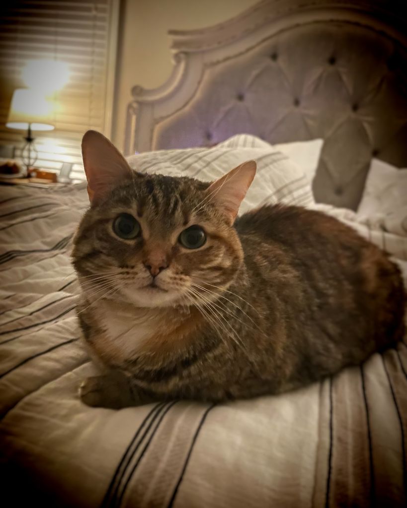 Lady “Frankie” Francine Profile Photo