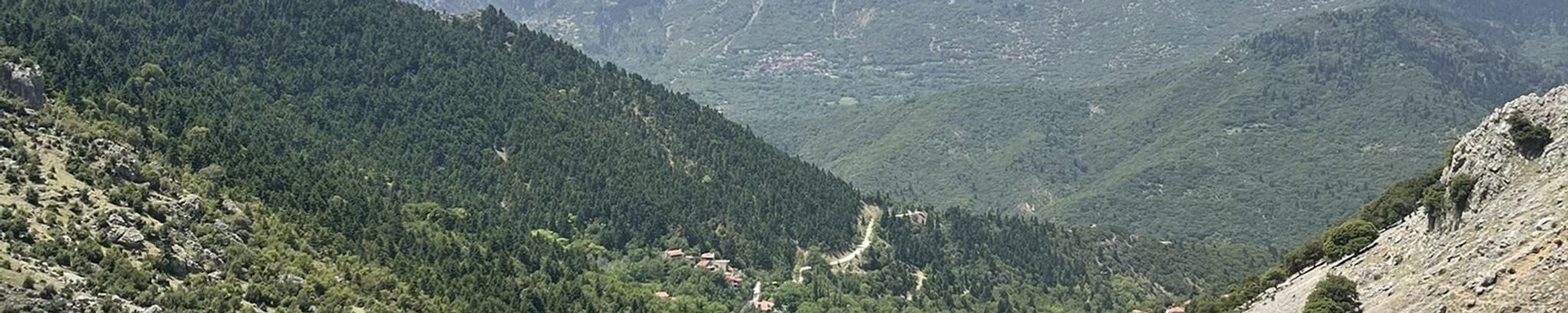 Cover for John Gionis's Obituary