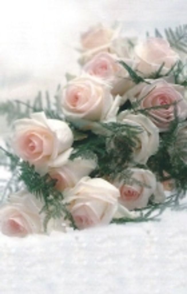 Olive Baerg Profile Photo