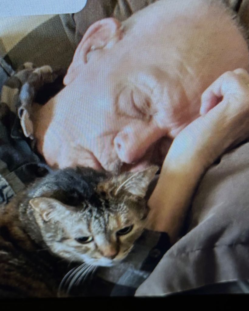 Puss Puss Kitty Elkins Profile Photo