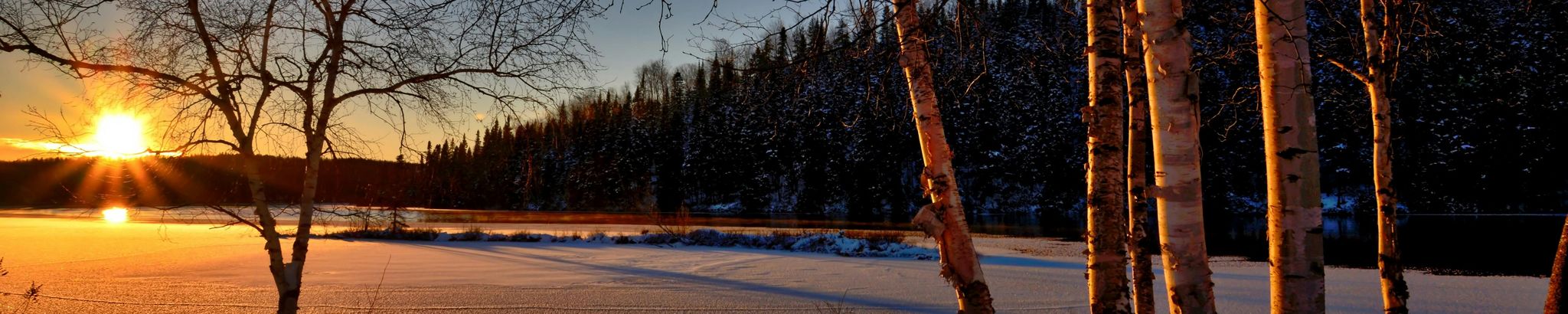 Cover for Lewis Michael Durak's Obituary