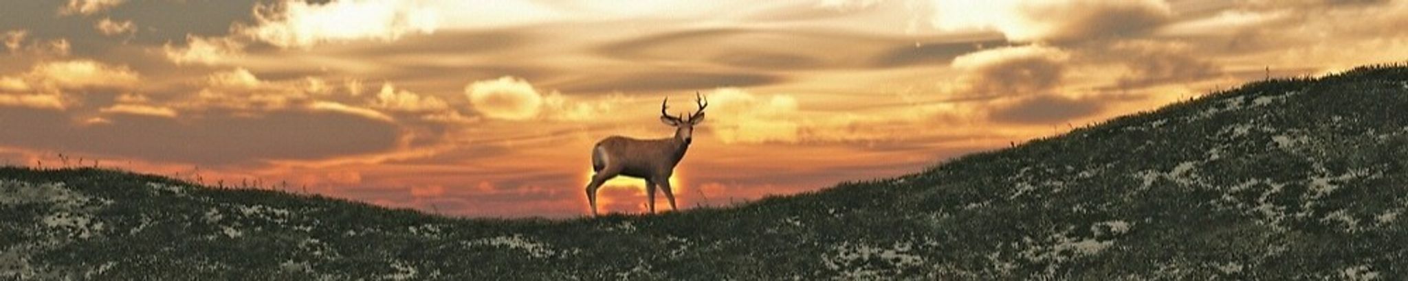 Cover photo for Larry Don Pierce's Obituary
