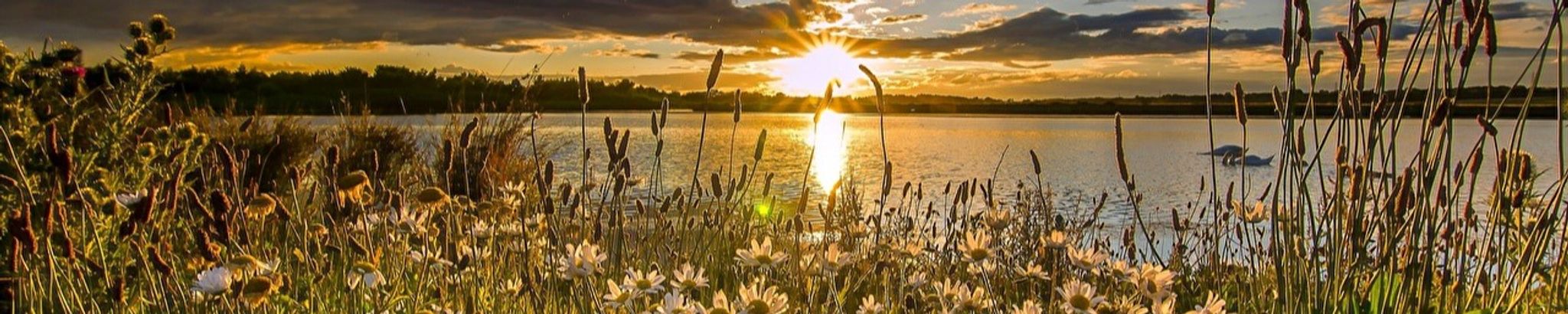 Cover photo for Katie Hamilton's Obituary