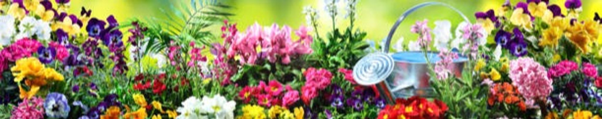 Cover photo for Margaret Elizabeth "Betty" Bedford's Obituary