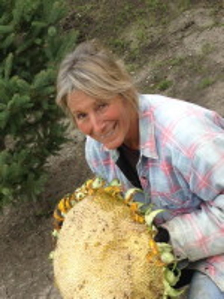 Joanne Kansas