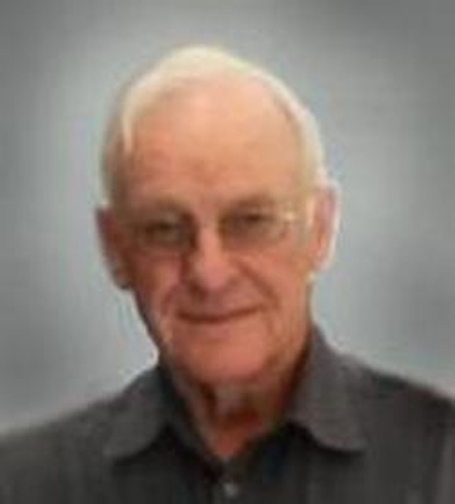 Alan L Holt