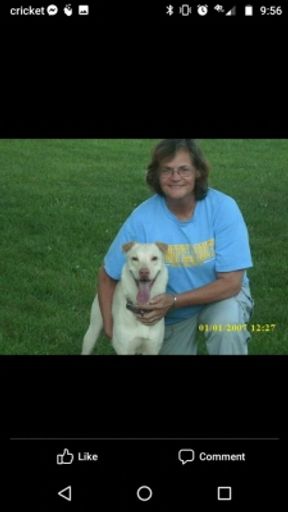 Christi Ann Palmer photo gallery thumbnail 2 of 3