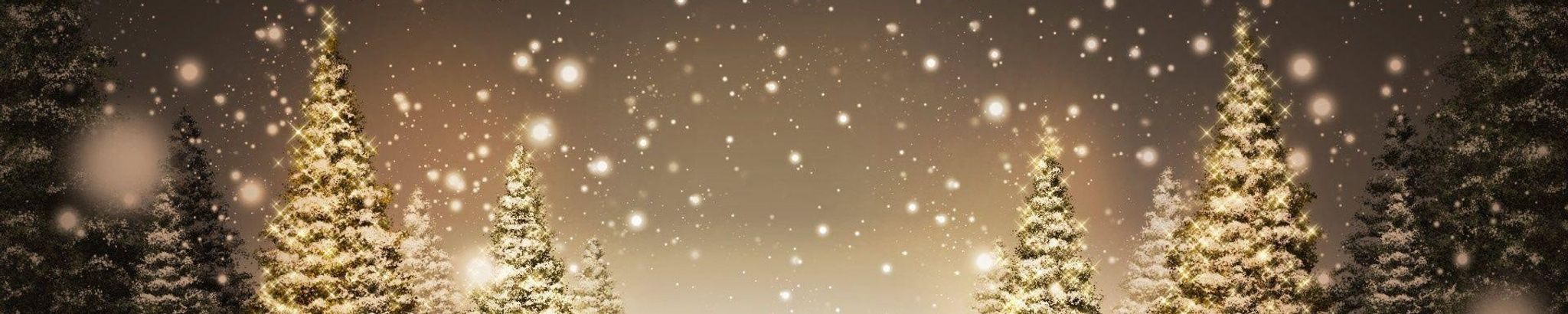 Cover for Tisa Ann Wiseman's Obituary