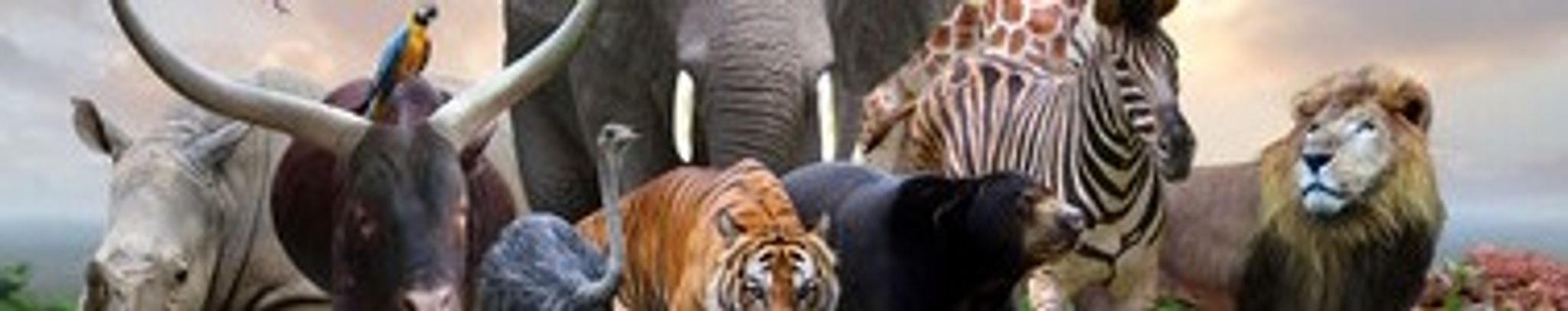 Cover for Jacqueline "Jackie" N. Armstrong's Obituary