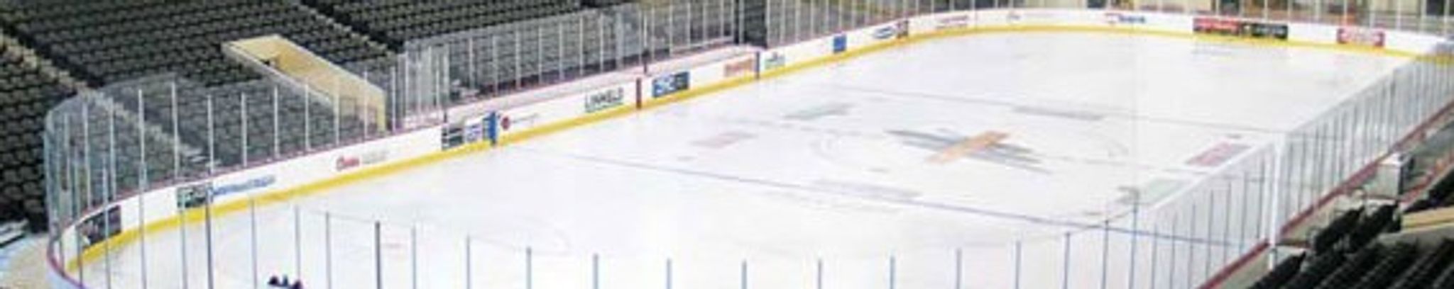 Cover for Amy Ann (Gohl) Vedin's Obituary