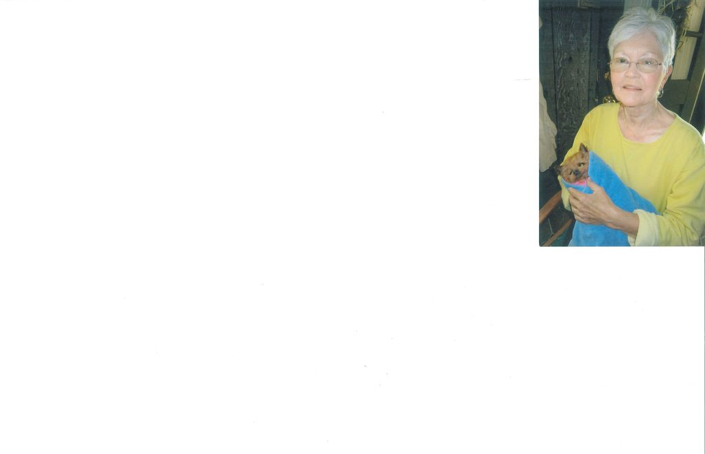 Shelby Kay Wills Wade Profile Photo