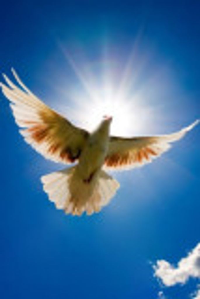 Deborah  A. Cameron Profile Photo